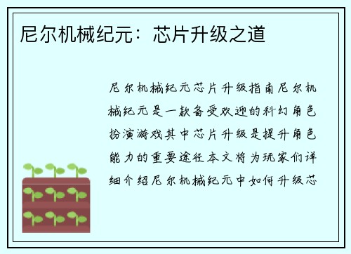尼尔机械纪元:芯片升级之道